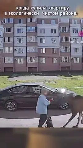Комментарии, это отдельный вид искусства 😂#смех #коментарии #комент #юмор 