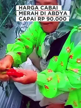 BLANGPIDIE - Harga cabai di Pasar Tradisional Blangpidie, Kabupaten Aceh Barat Daya (Abdya) mencapai Rp 90 ribu per Kilogram (Kg). Khalis, salah seorang pedagang di Pasar Tradisional Blangpidie mengatakan, dalam seminggu terakhir ini harga cabai merah terus melambung tinggi. 