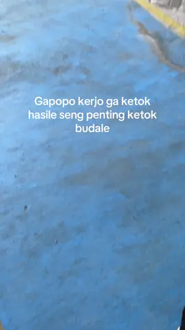 Umume wong mumet #fyp #foryou #bojonegoro #ptkarebalamsejahtera 