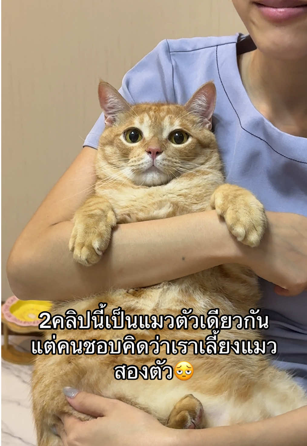 กาสะลองซ้องปีบมาก 2คลิปนี้ถ่ายห่างกันแค่เดือนเดียว🤣