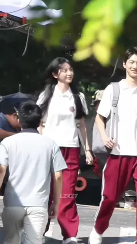 #dienhivi #bangaithientai 