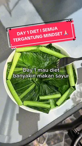 DIET DAY 1 ! #foryou #serunyakuliner #reviewmakanan #tiktokkuliner #fyp 