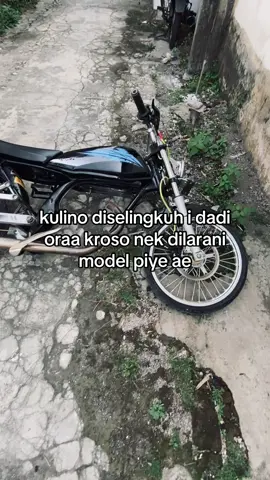 aku wes kebal😭