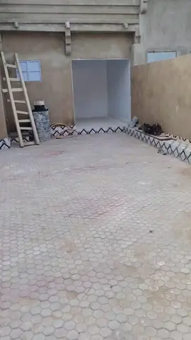 #thadien🇹🇩tiktok #تشاد🇹🇩_قطر_🇶🇦_الكويت🇰🇼السعودية 