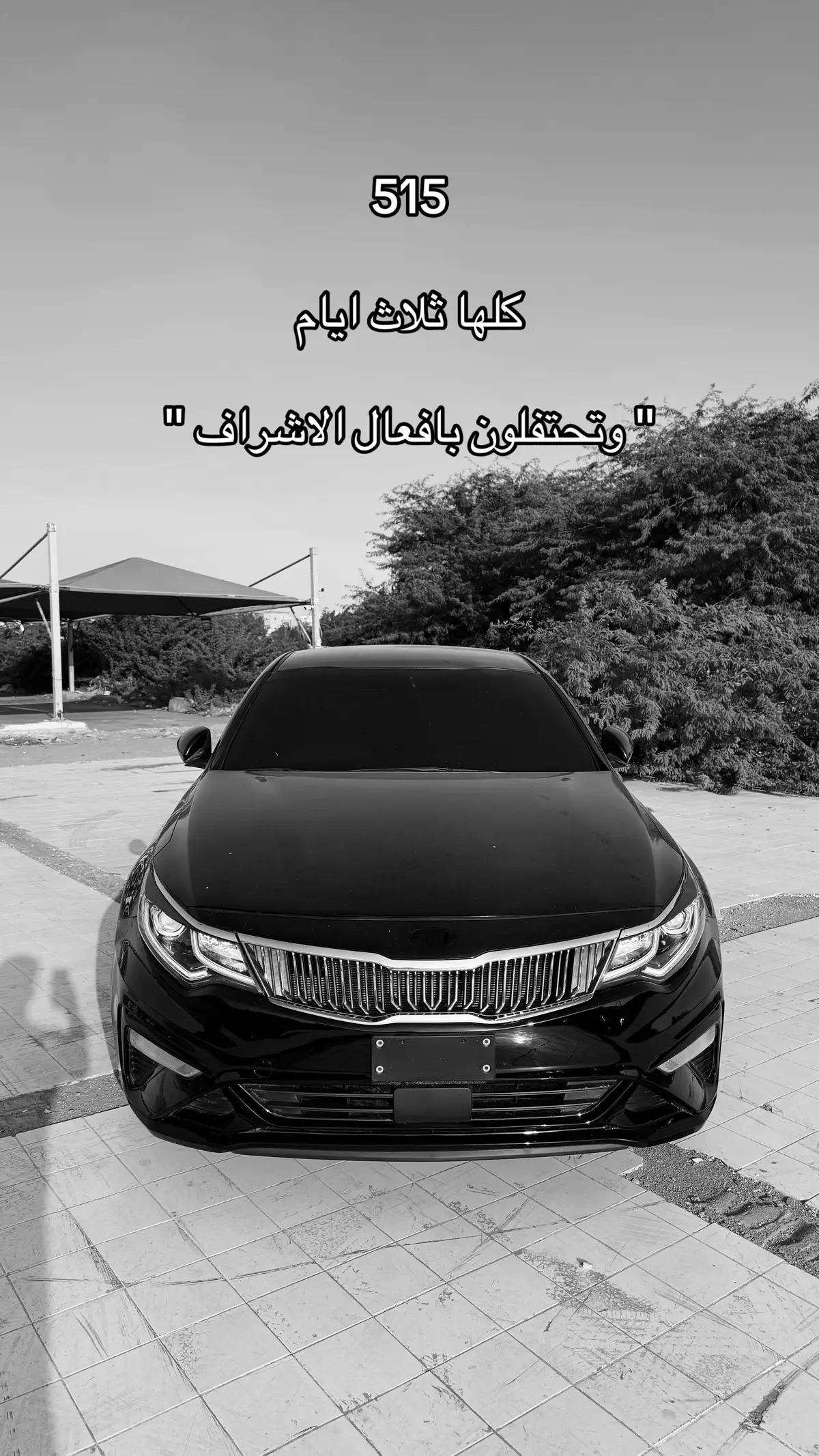 #ملك_العرب #الاشراف_احفاد_الرسول #الساده  #خبت_السيد #النعمي 