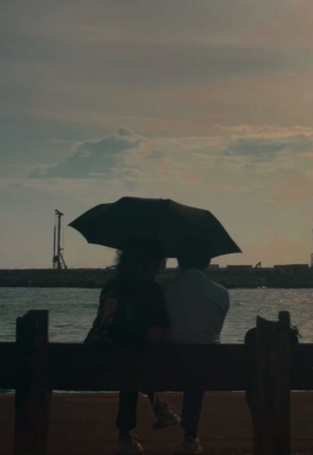 🤍❗️ #evening #sky #couple #haridu #backgroundvideo 