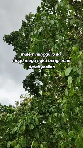 Udano seng deres.. #jowopride #jowostory #berandafyp 