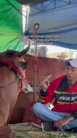 #fyp #anginribut #kerapansapimadura 