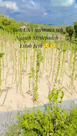 #fpyシ  Nyareh SE depadeh #Estoh peih 😌🥴
