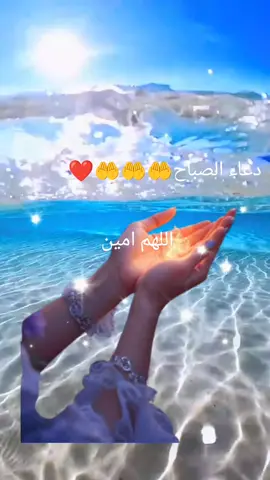 ا#كسبلور#قولو امين#جزائر🇩🇿تونس🇹🇳المغرب🇲🇦فليسطين🇵🇸 #شعب_الصيني_ماله_حل😂😂 ##anime 