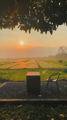 Suasana sore di embung coffee. #Senja #embungcoffee #kopisingosari #kopianmalang  #coffee
