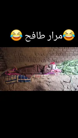 #الرياض_جده_مكه_الدمام_المدينه #سوهاج_بلدي_وافتخر_بيها #احمدحبيب #CapCut #creatorsearchinsights 