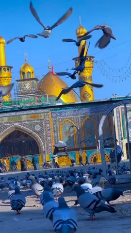 ملهوفه شفتني. لمن ودعتني.. 💔🥺