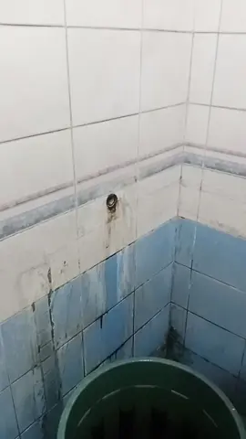 Flushing Pipa Mampet di Cipinang Cempedak, Terimakasih 🙏  #jasacucitoren #flushingpipa #kranmampet #krankotor #Cipinang 