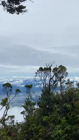 Maha suci allah dengan segala ciptaannya. Mt. Talamau 17 september 2025 #talamau2982mdpl #pendakigunung #pendakiindonesia #mountain #pendakisumatra 