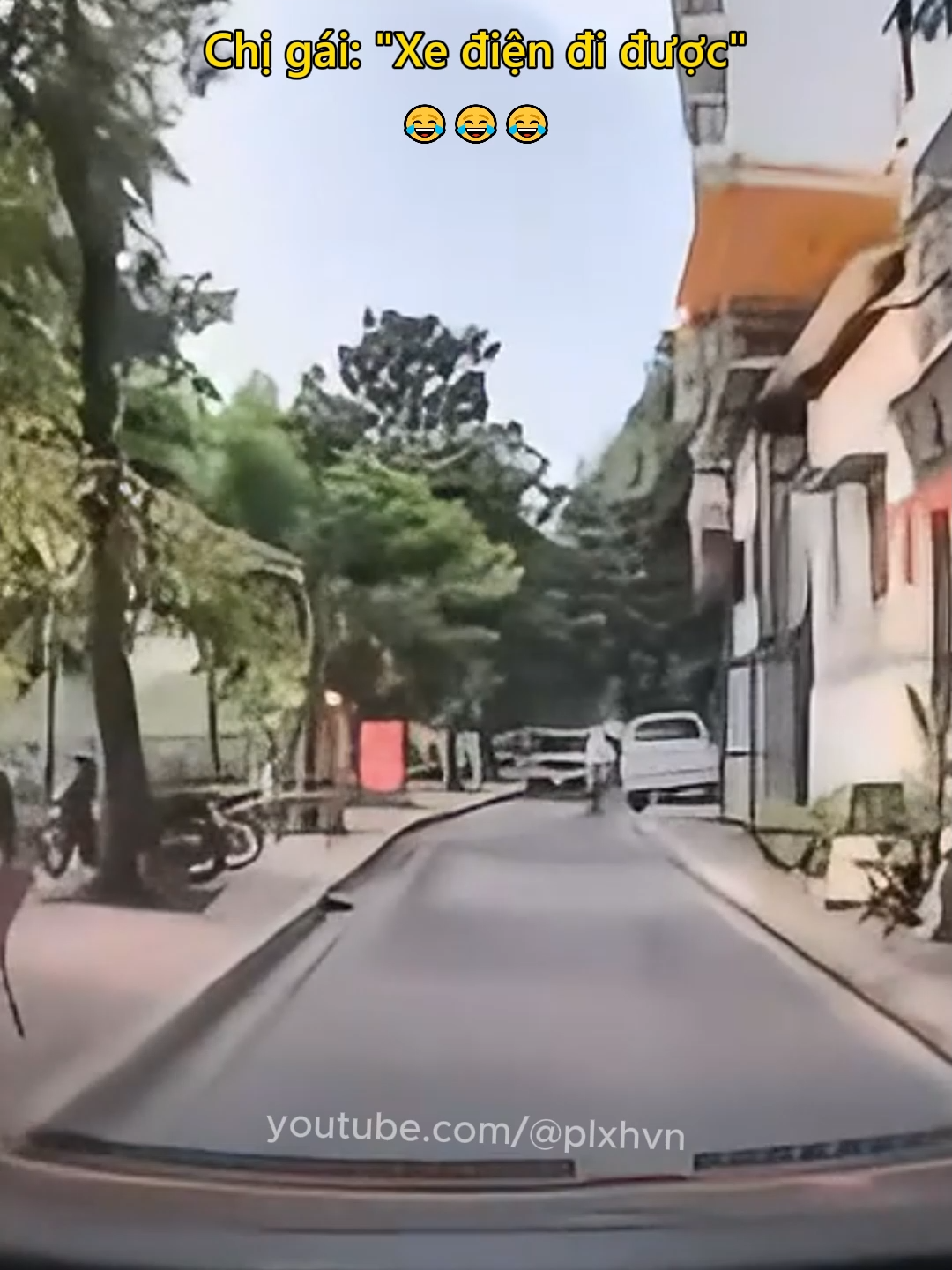 Chị gái: 