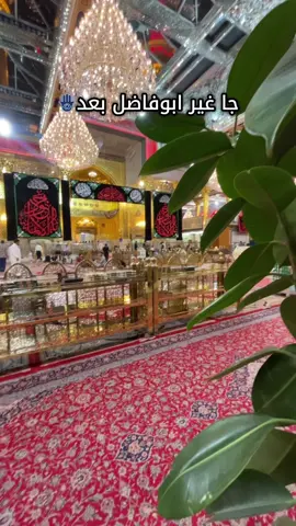 #ابوفاضل_العباس  #كربلاء_مدينة_العشق_والعاشقين  #عادت_نشر🔁 #العراق  #اكسبلورexplore  تصويري📸