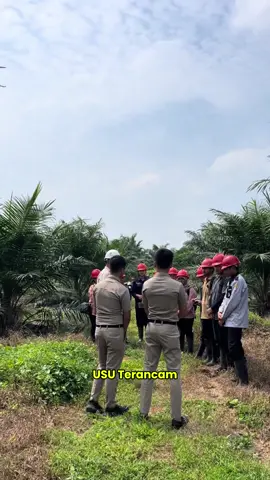 Pantes saja banyak mahasiswa mengeluhkan biaya UKT di USU sangat tinggi Lahan sawit seluas 5500 hektare telah milik USU telah digadaikan lantas kemana uang itu mengalir ataukah ada oknum yang menikmati uang itu untuk kepentingan pribadi? #usu #sawit #korupsi 
