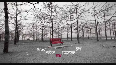 Real Magic @Coke Studio Bangla  Full Video will be uploaded soon. Long Distance Love. #bangaldesh🇧🇩 #CokeStudioBangla #cokestudio #videography #curiocanva @Afrin 