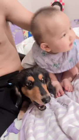 悠悠&噗噗🥹🥹🥹🥹 #fyp #女寶 #龍寶寶 #小泡芙 #小龍女 