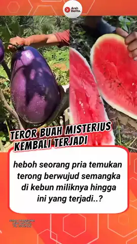 #artisviral #berita #beritaviral #beritaterkini #inspiration      