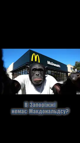 Коли в Запоріжжя повернеться Мак? По-трохи освоююсь, подобається… вже і альтернативу знайшов👌 #запорожье #запоріжжя #макдональдс #булочка #хортиця 