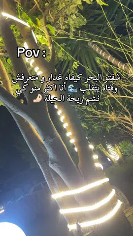 🤌🏻🤌🏻🤌🏻 #اكسبلور #foryoupage #foryou #viral #creatorsearchinsights2025 