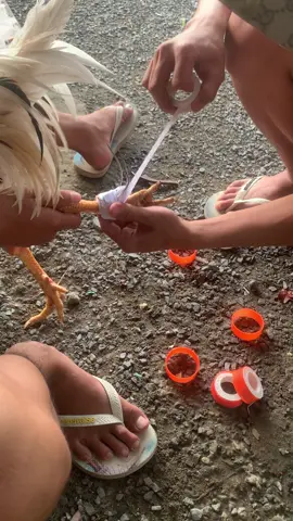 kèo chế độc lạ nhất miền tây 😂😂#xhtiktok #cpc #mientayquetoi #xh 