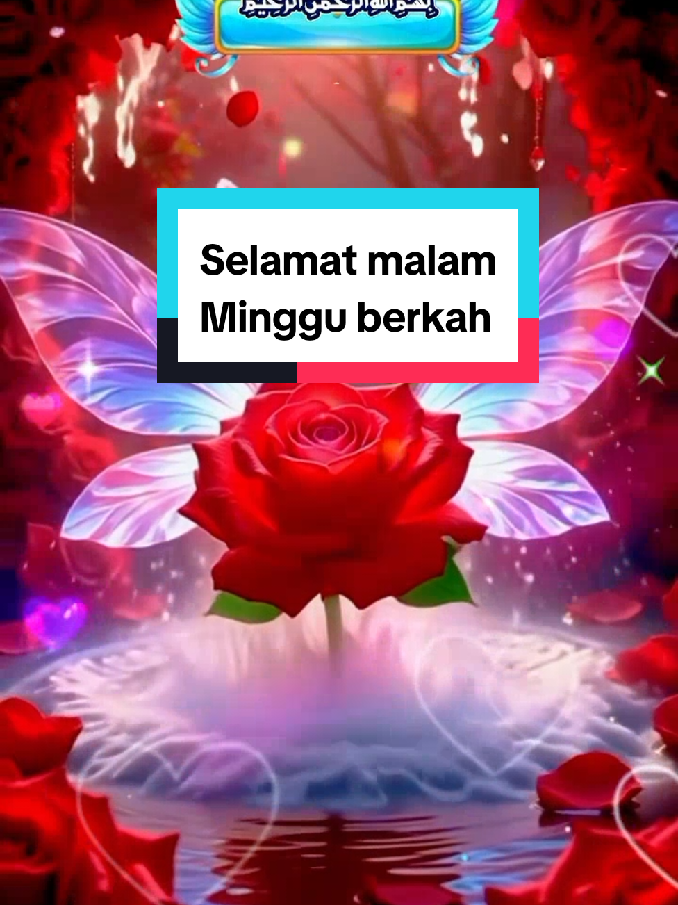 #bismillahirrahmanirrahim🤲🤲 #assalamualaikumsahabathatiku❤️❤️❤️🙏🙏 #semogakitasemuadalamlindunganSwt🤲🤲 