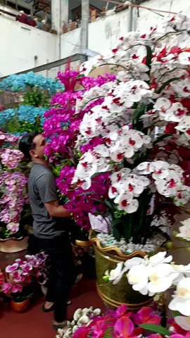 baru siap di rangkai lagi y bunda anggrek lateks premium,cantik dan menawan #fypシ゚jafarnasution #fypシ゚bungaviral #masukbrandafyp 