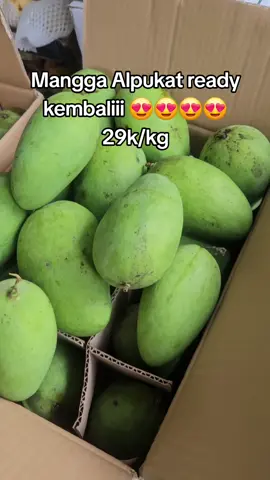Mangga Alpukat readyy kembali guys 29rb/kg #jajananviral #kedailumerporis  #manggaalpukat #jajanantiktok #fyppppppppppppppp 
