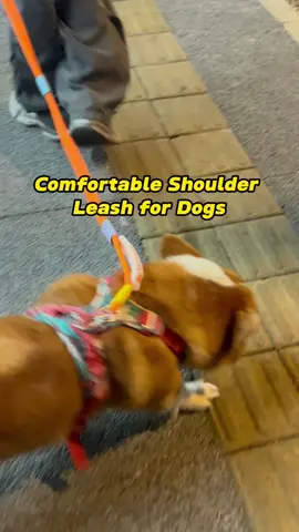 Hands-Free Dog Leash#tiktokmademebuyitnow #dogleash #leash #dog #leash 
