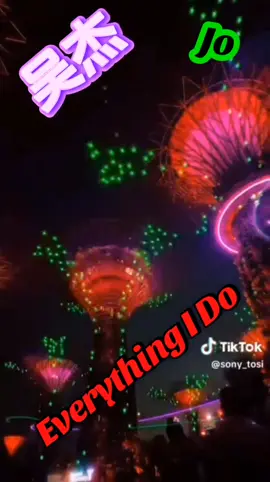 Karaoke Bring U asSinger 吴杰