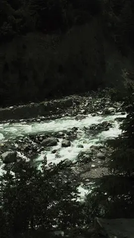 اب وہ دن لوٹنے کے نہیں،چھوڑیے اب وہ قصہ پرانا ہوا🫠🕊 #foryou #trending #parveenshakir #johnelia #urdupoetry 