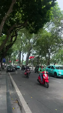 Góc phố này, lá vẫn bay, riêng mình anh ngồi đây...  #chill #thuhanoi #xh #xuhuongtiktok  