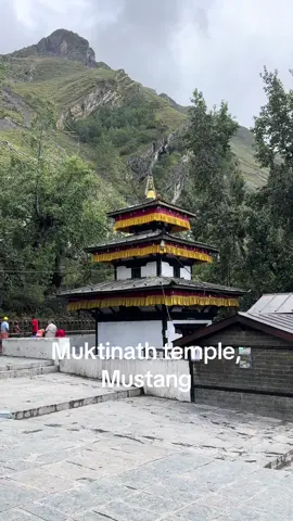 #muktinath #muktinath_temple_108_dhara #mustangnepal #fyp 