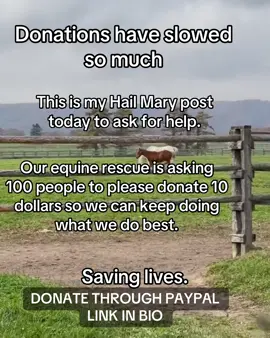 Donations have slowed so much. Our equine rescue is asking 100 people to please donate 10 dollars so we can keep doing what we do best. DONATE THROUGH PAYPAL LINK IN BIO #explore #Love #photography #music #greenscreen 