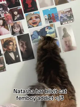 igga resten av min vägg den är jättefin