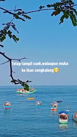 #timurpride #nttpride🏝🔥fypシviral #kampungkecil🏝 