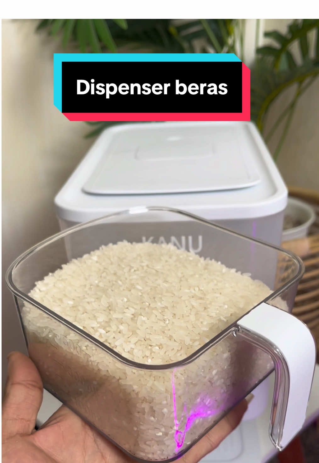 Aesthetik 😍#boxberas #dispenserberas #fyp #wadahberas #kanu 