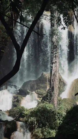 #fyp #น้ําตกตาดสะเดา #กาญจนบุรี #ทองผาภูมิ ฮีลใจสุดน้ำเย็นมาก⛰️🫶🏻