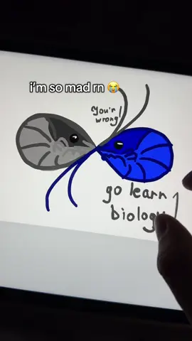 idk what i’ll do if i find the 2nd pov… i’m so mad rn 💀#digitalartist #app #multiplayer #game #ipad 