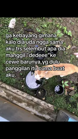 misalll#masukberanda #fyp #foryoupage #4u #abcxyz 