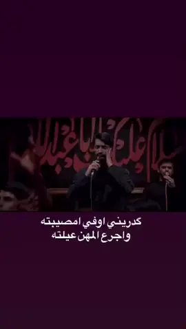 #الخدمة #خدمة #خدمة_الحسين_شرفاً_لنا #ايران #محمدباقرالخاقاني @موكب الصديقة فاطمة 