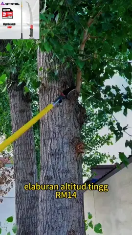 Suka sangat gergaji pokok ni #gergaji #gergajikayu #gergajipokok #potongpokok #barangviral #fypp 