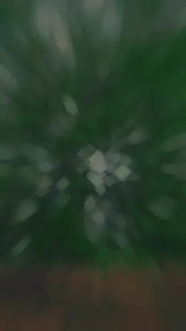 #CapCut 