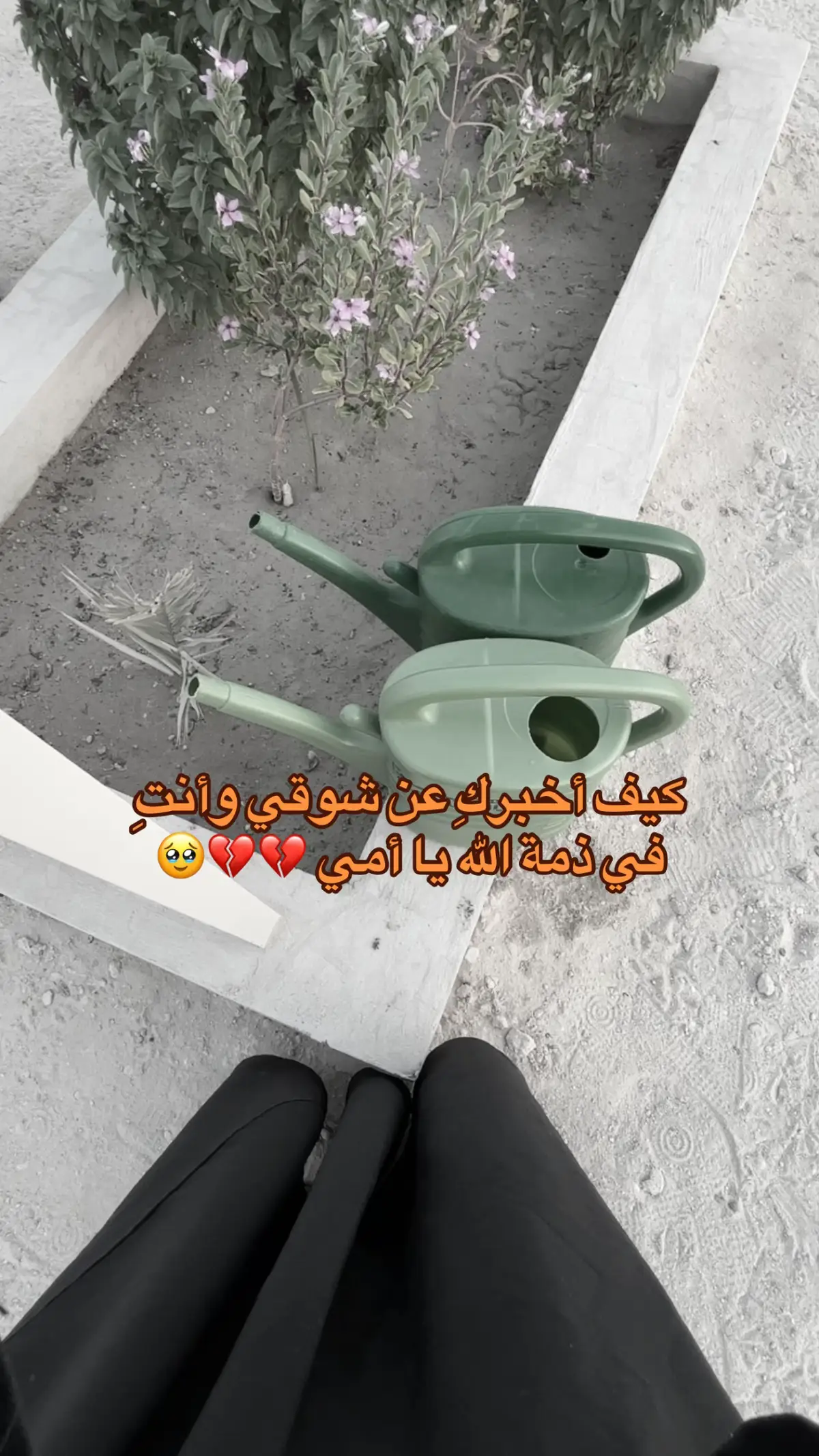 اللهم ارحم امي واغفرلها #اللهم_ارحم_امي_وجميع_امهات_المسلمين 