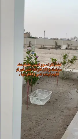 اللهم اجبر امي عن ما عاشته بجنة الخلد ❤️❤️#اللهم_ارحم_امي_وجميع_امهات_المسلمين 