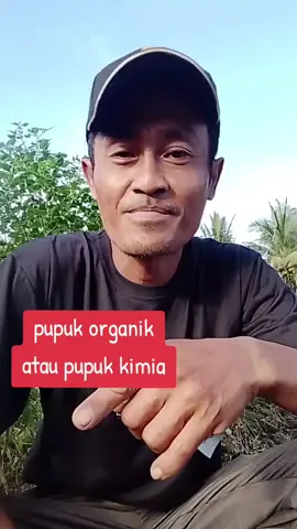 pupuk organik atau kimia #tanaman  #pertanian  #pupuk 