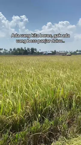 adakah 100🤣#fyp #storybugis #trending #masukberanda #combineharvester 